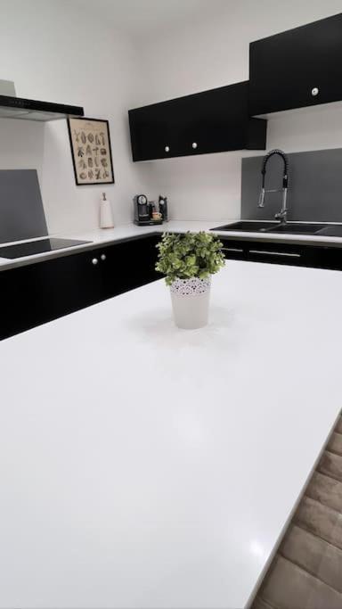 Grande Maison Et Jardin Metropole Holiday home Seclin